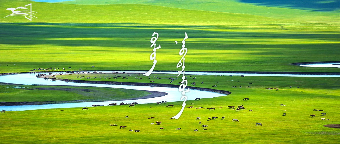 01 封面.jpg 01 封面.jpg