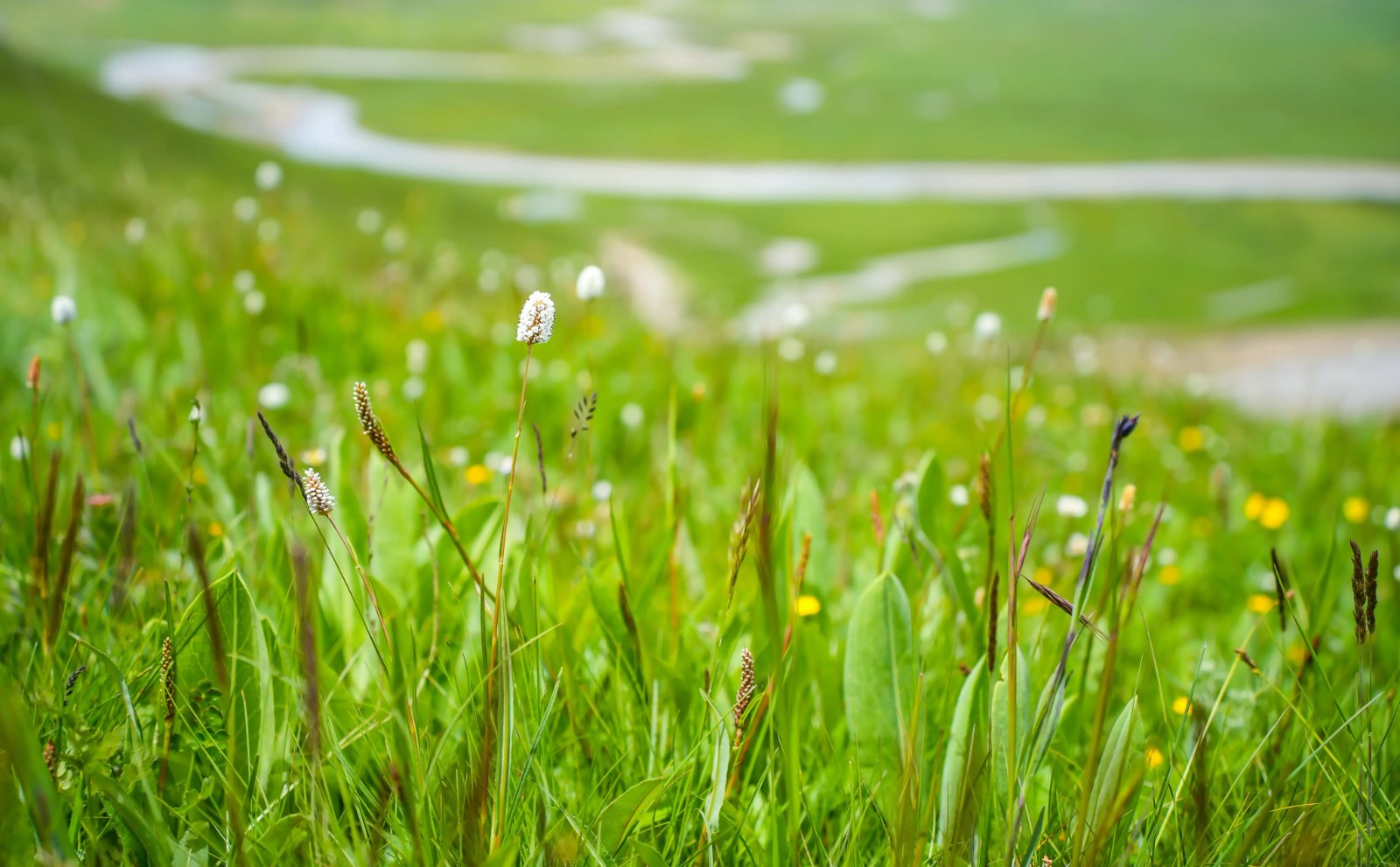 2cfcf04af06e40358b1ee846f3372a8d.jpg 2cfcf04af06e40358b1ee846f3372a8d.jpg