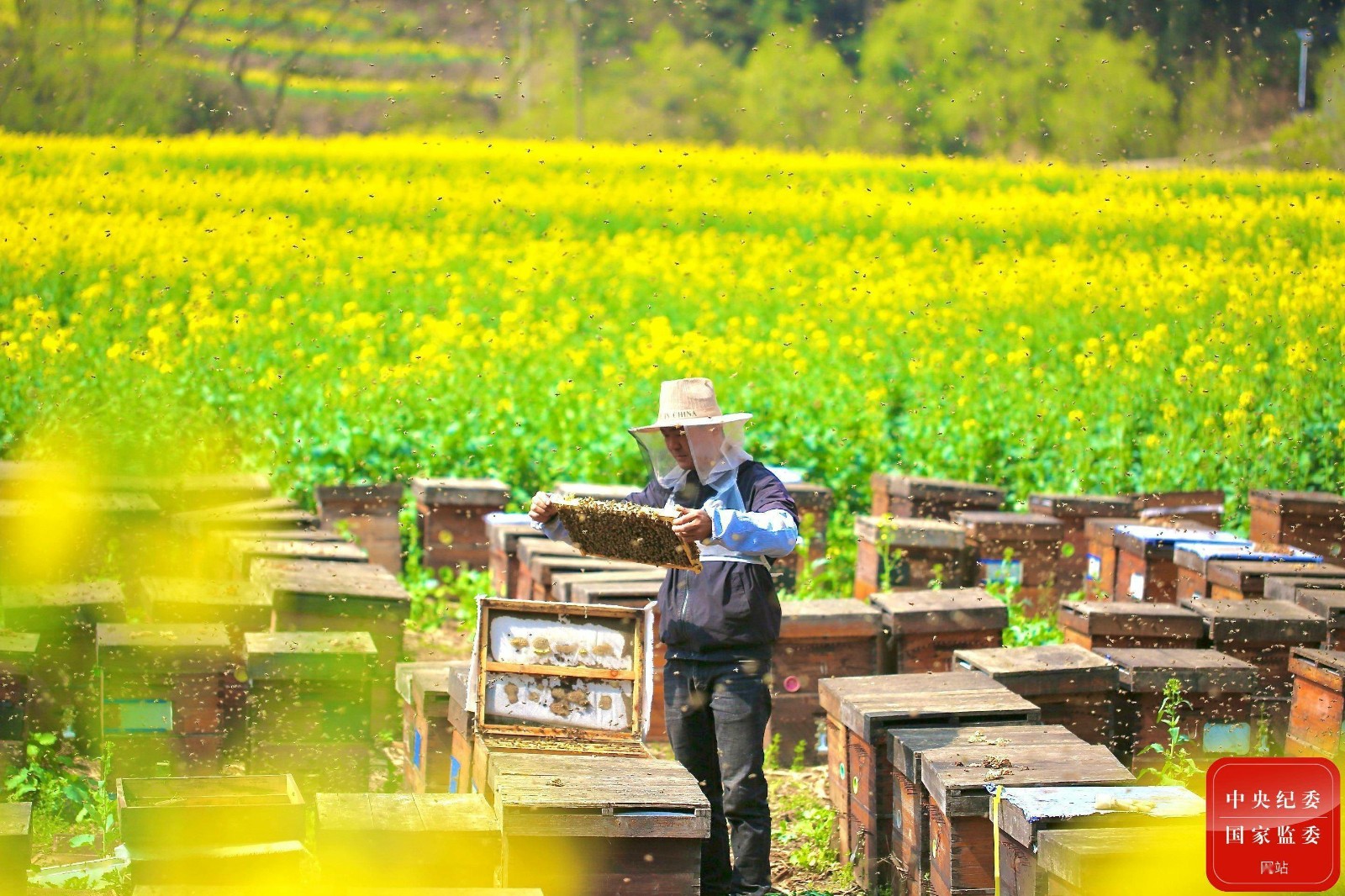 7e827156c3fa4165be04190b14b8338a.jpg 7e827156c3fa4165be04190b14b8338a.jpg