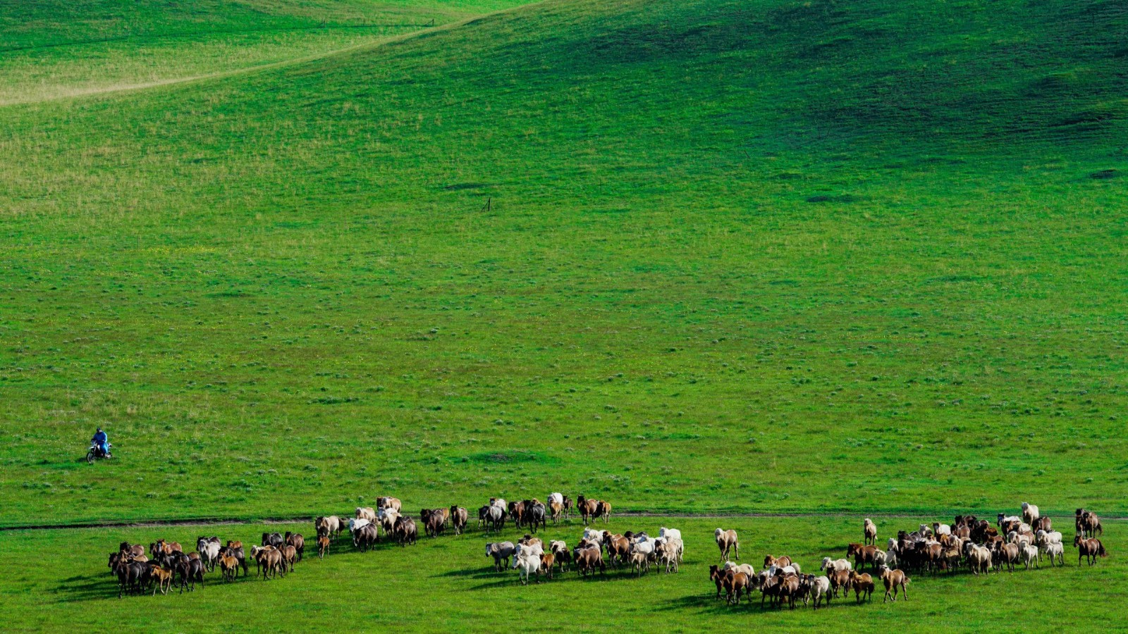 00300704138_fafde861.jpg 00300704138_fafde861.jpg