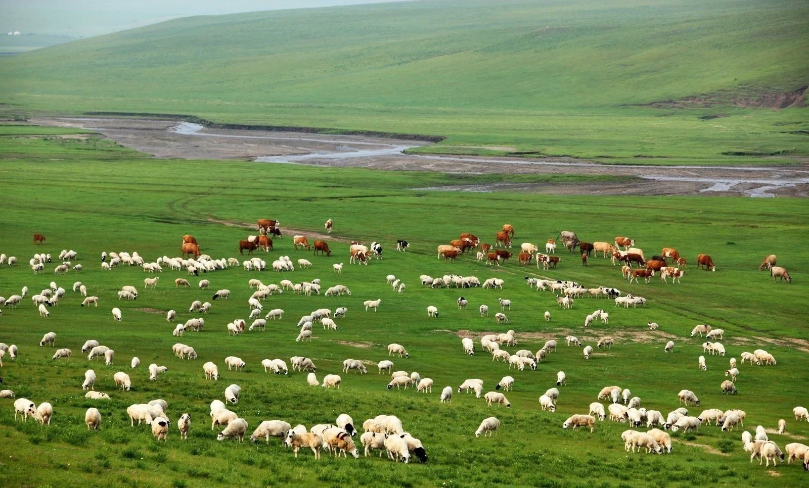 u=4001034475,3114410630&fm=3074&app=3074&f=JPEG.jpg u=4001034475,3114410630&fm=3074&app=3074&f=JPEG.jpg