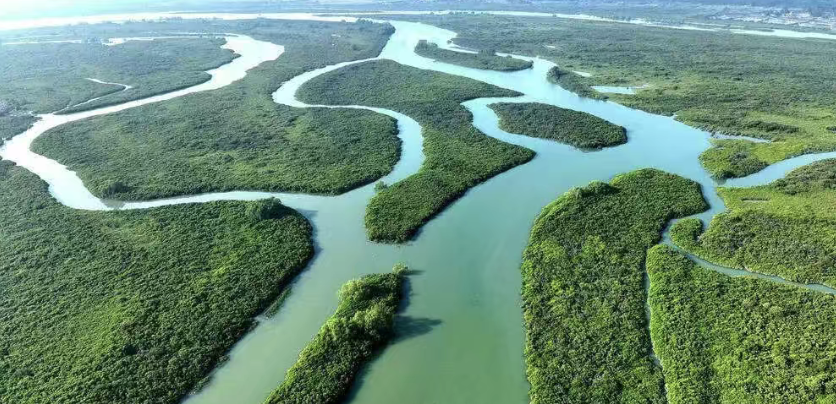 QQ20250729-110419.png QQ20250729-110419.png