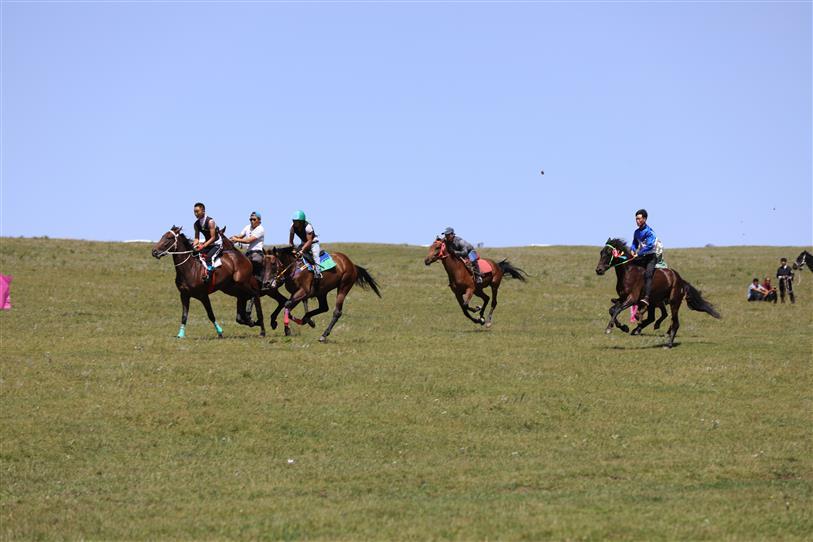 downLoad-20200811103647.jpg downLoad-20200811103647.jpg