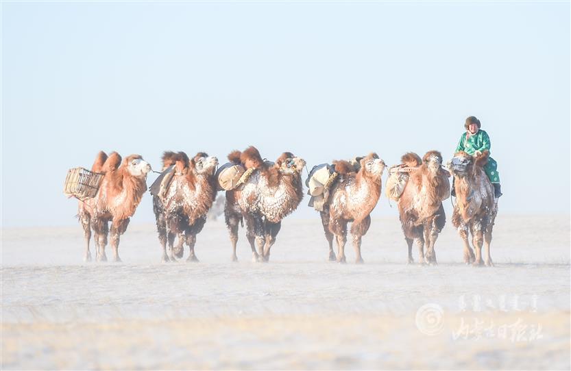 downLoad-20200828101323.jpg downLoad-20200828101323.jpg