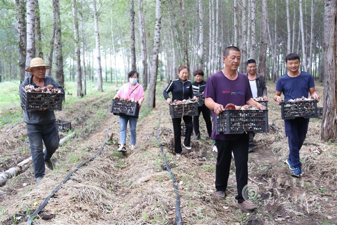 downLoad-20200930103311.jpg downLoad-20200930103311.jpg