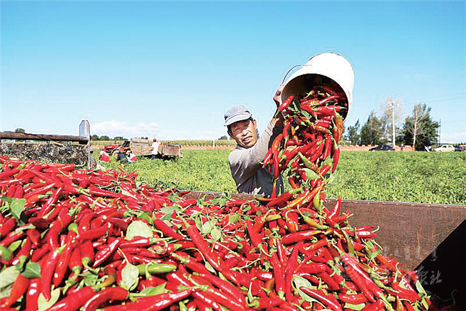 QQ图片20201011103517.png QQ图片20201011103517.png