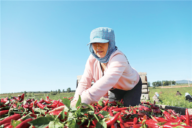 QQ图片20201011103532.png QQ图片20201011103532.png