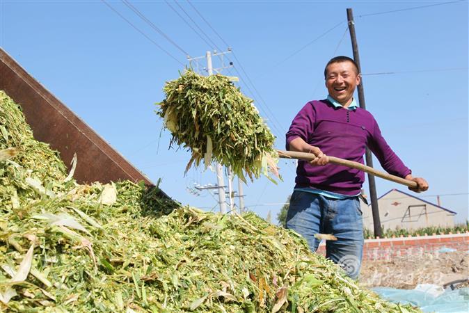 downLoad-20201012084143.JPG downLoad-20201012084143.JPG