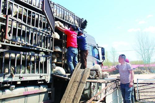 untitled.png untitled.png