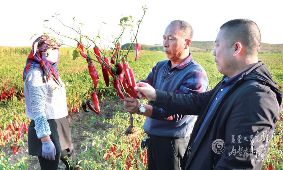 QQ截图20201203103610.jpg QQ截图20201203103610.jpg