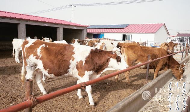 QQ截图20201227085012.jpg QQ截图20201227085012.jpg