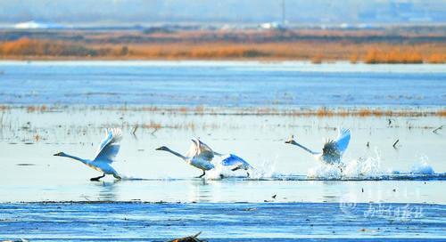 3925334_lity_1617086967636_m.jpg 3925334_lity_1617086967636_m.jpg