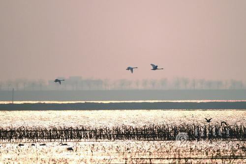 3925721_lity_1617094788733_m.jpg 3925721_lity_1617094788733_m.jpg