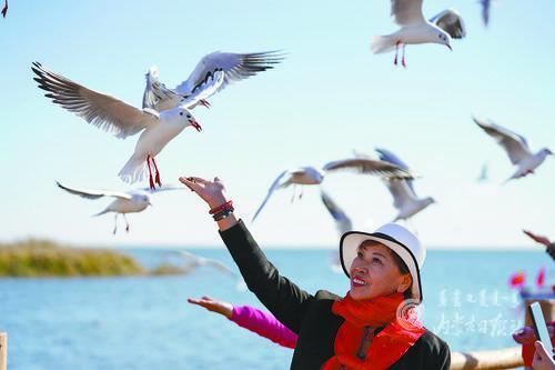 3925340_lity_1617087041669_m.jpg 3925340_lity_1617087041669_m.jpg