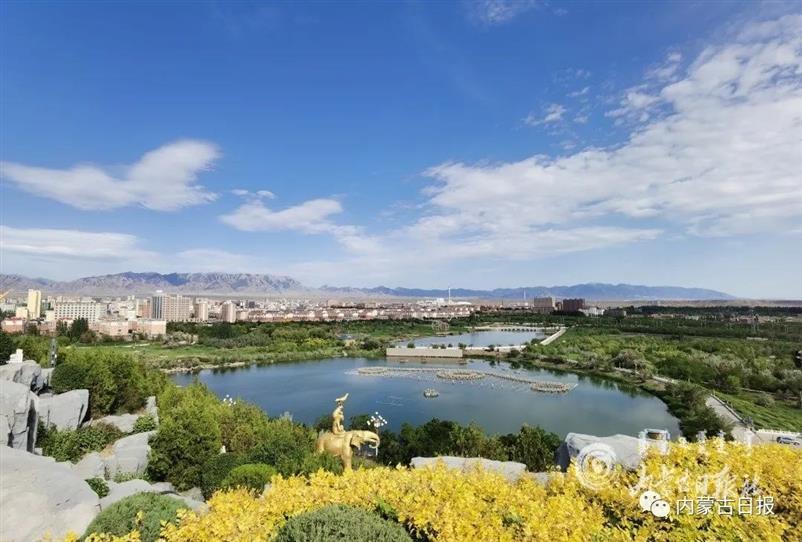 mmexport1623387746296.jpg mmexport1623387746296.jpg