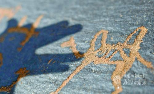 4009803_lity_1623310798590_m.jpg 4009803_lity_1623310798590_m.jpg