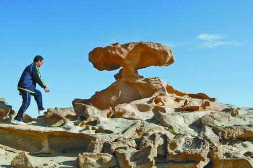 4009807_lity_1623310822886_m.jpg 4009807_lity_1623310822886_m.jpg