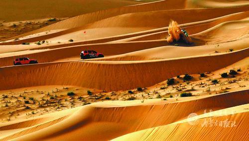 4009813_lity_1623310859357_m.jpg 4009813_lity_1623310859357_m.jpg