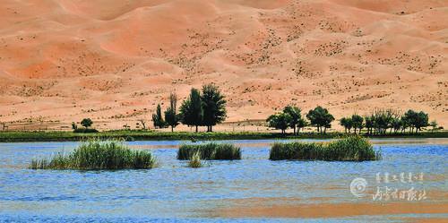 4009809_lity_1623310836914_m.jpg 4009809_lity_1623310836914_m.jpg