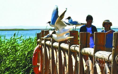 4009811_lity_1623310847897_m.jpg 4009811_lity_1623310847897_m.jpg