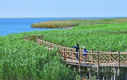 4009819_lity_1623310894721_m.jpg 4009819_lity_1623310894721_m.jpg