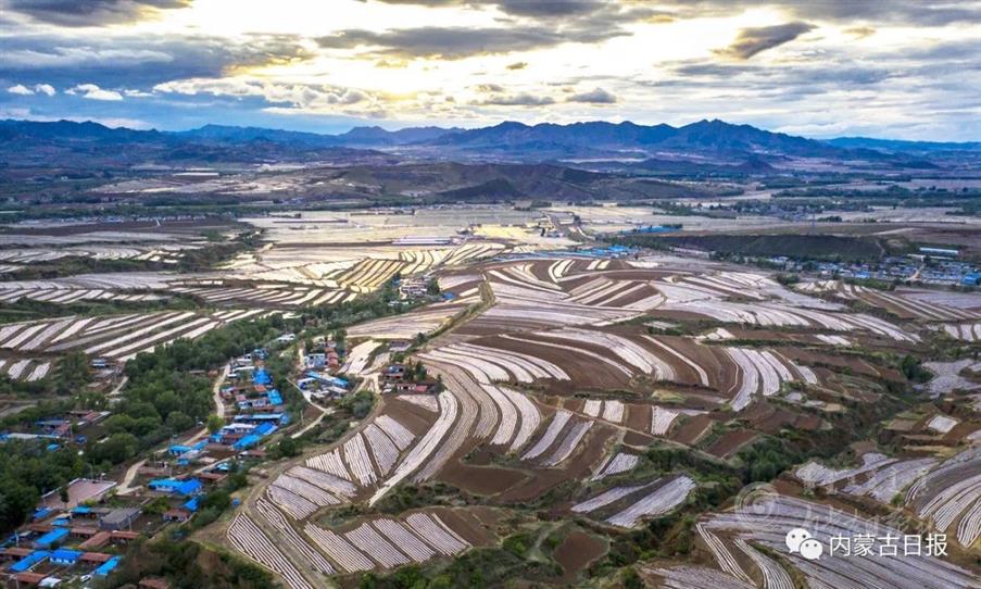 IMG_5972(20210618-150156).JPG IMG_5972(20210618-150156).JPG