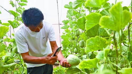 4015647_wangyy_1623836675624_m.jpg 4015647_wangyy_1623836675624_m.jpg