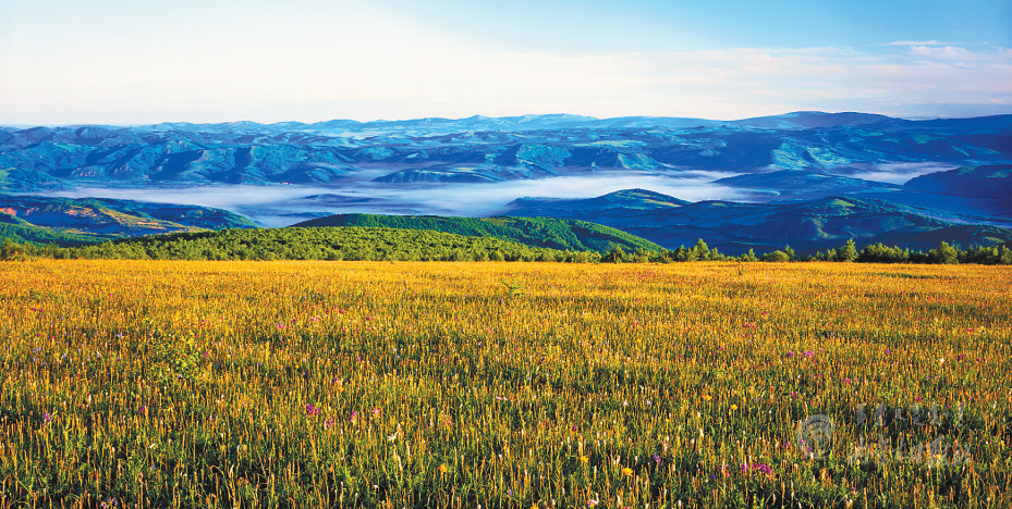 QQ图片20210620114032.png QQ图片20210620114032.png