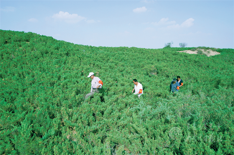 QQ图片20210620115308.png QQ图片20210620115308.png