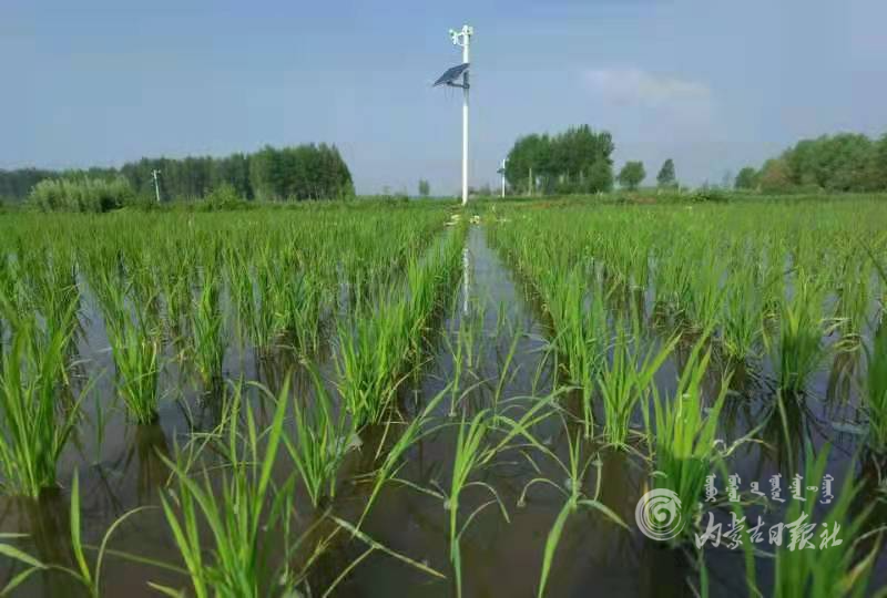 IMG_6064.PNG IMG_6064.PNG