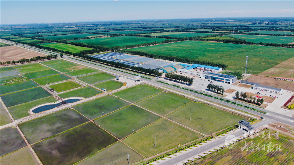 IMG_6065.PNG IMG_6065.PNG