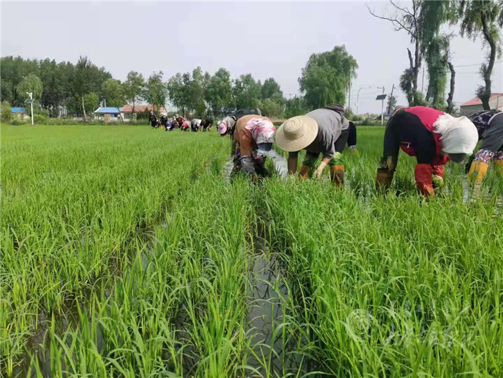 IMG_6067.PNG IMG_6067.PNG