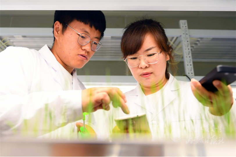 IMG_6068.PNG IMG_6068.PNG