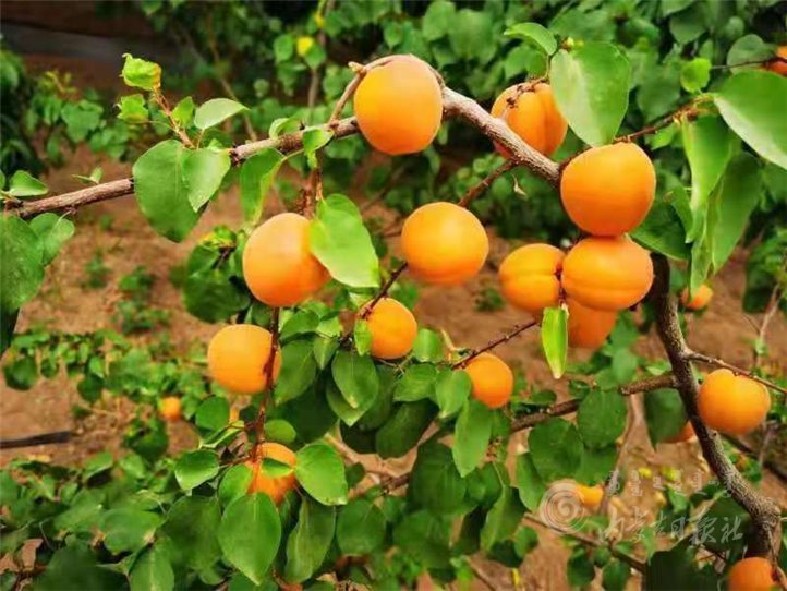 640 (2).png 640 (2).png