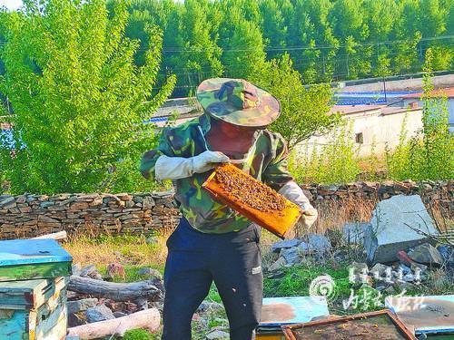 4026278_alm_1624710451623_m.jpg 4026278_alm_1624710451623_m.jpg