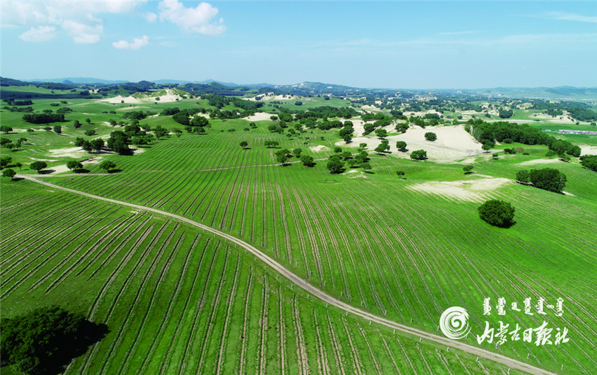 QQ截图20210630104345.png QQ截图20210630104345.png