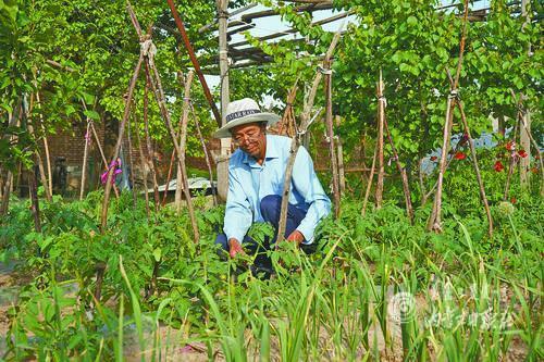 4025232_baix_1624611004010_m.jpg 4025232_baix_1624611004010_m.jpg