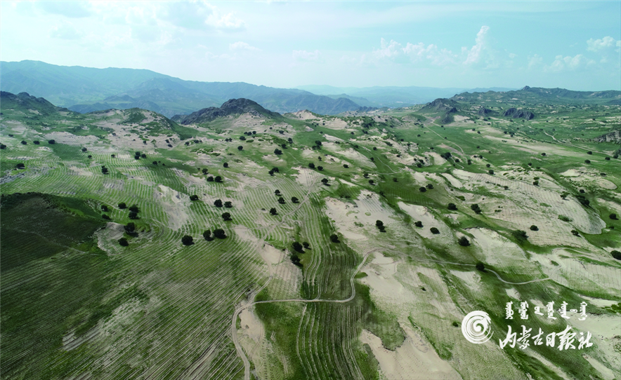 QQ截图20210630104300.png QQ截图20210630104300.png