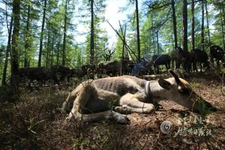 untitled.png1.png untitled.png1.png