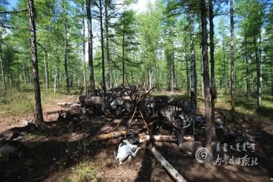 untitled.png7.png untitled.png7.png