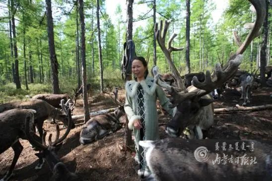 untitled.png8.png untitled.png8.png