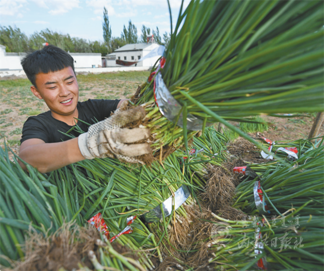 QQ截图20210711170541.png QQ截图20210711170541.png