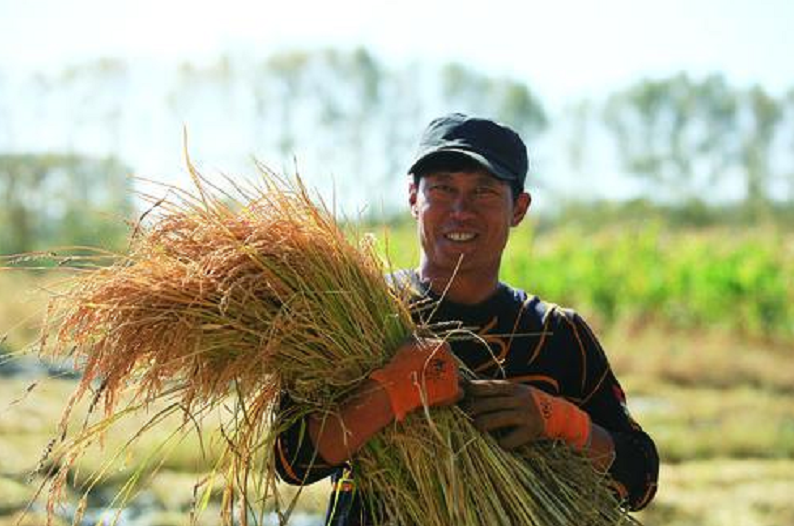 QQ截图20211003105815.png QQ截图20211003105815.png