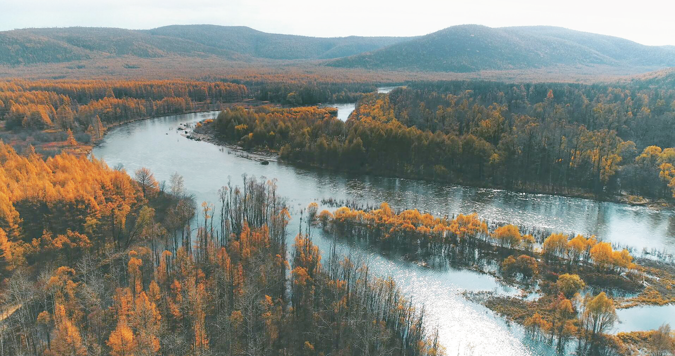 QQ图片20211115091940.png QQ图片20211115091940.png