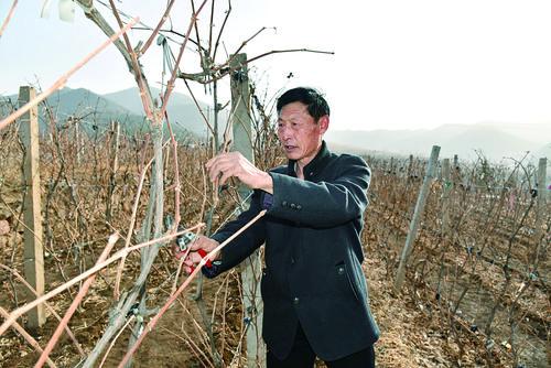 4296670_alm_1645721691665_m.jpg 4296670_alm_1645721691665_m.jpg