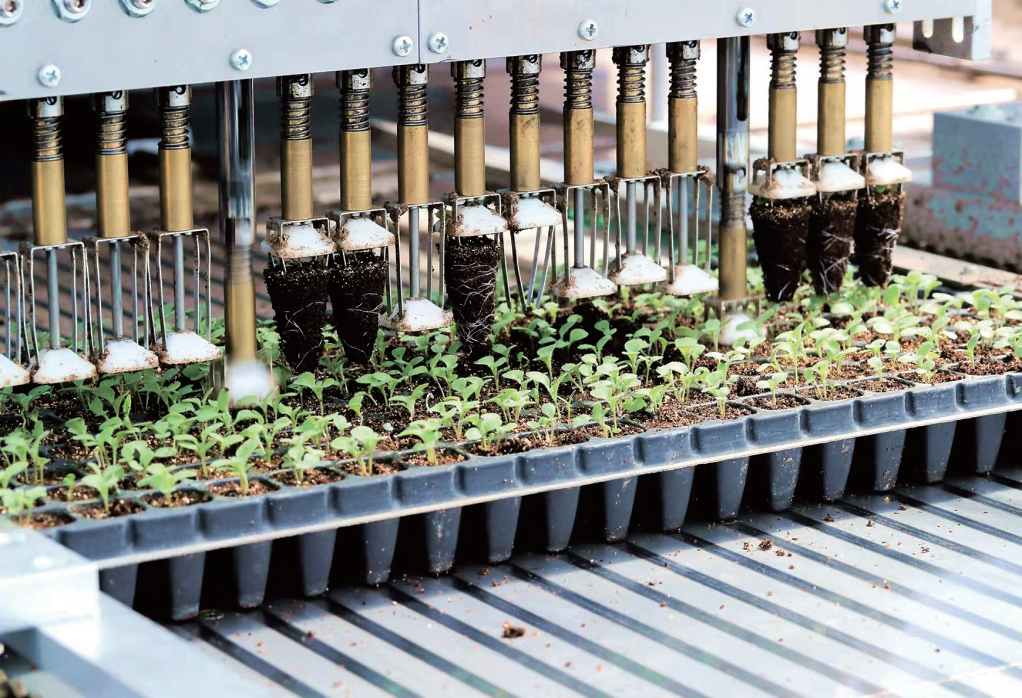 QQ图片20220302090946.png QQ图片20220302090946.png