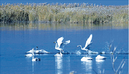 QQ截图20220308092433.png QQ截图20220308092433.png