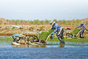 QQ截图20220308092718.png QQ截图20220308092718.png