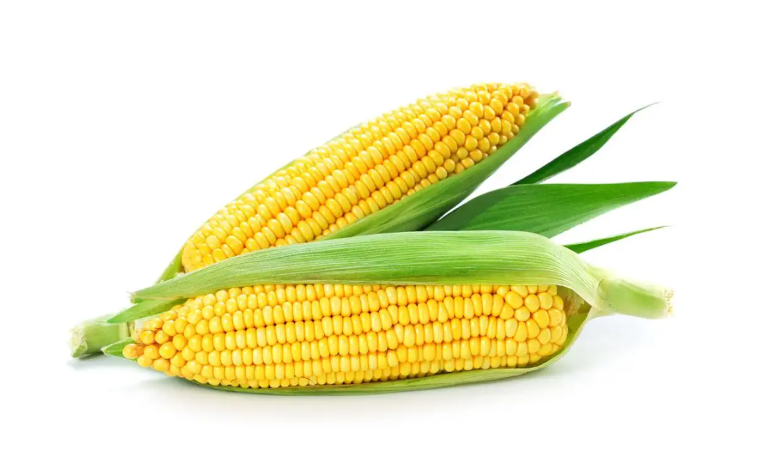 微信图片_20220523111929.png 微信图片_20220523111929.png