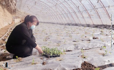 QQ截图20230201164553.png QQ截图20230201164553.png